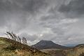 2019_05_03_Auvergne (0038)